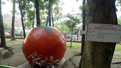 Alasan Taman Kebon Rojo Blitar Cocok Buat Liburan Anak-anak