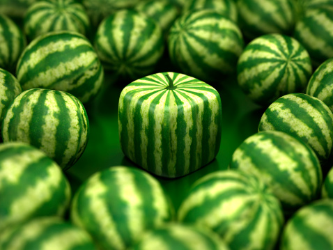 watermelons in the cube shapes