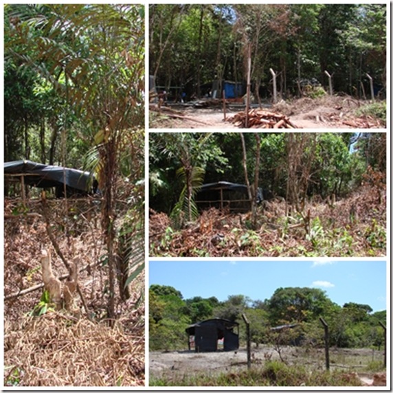 Caratateua