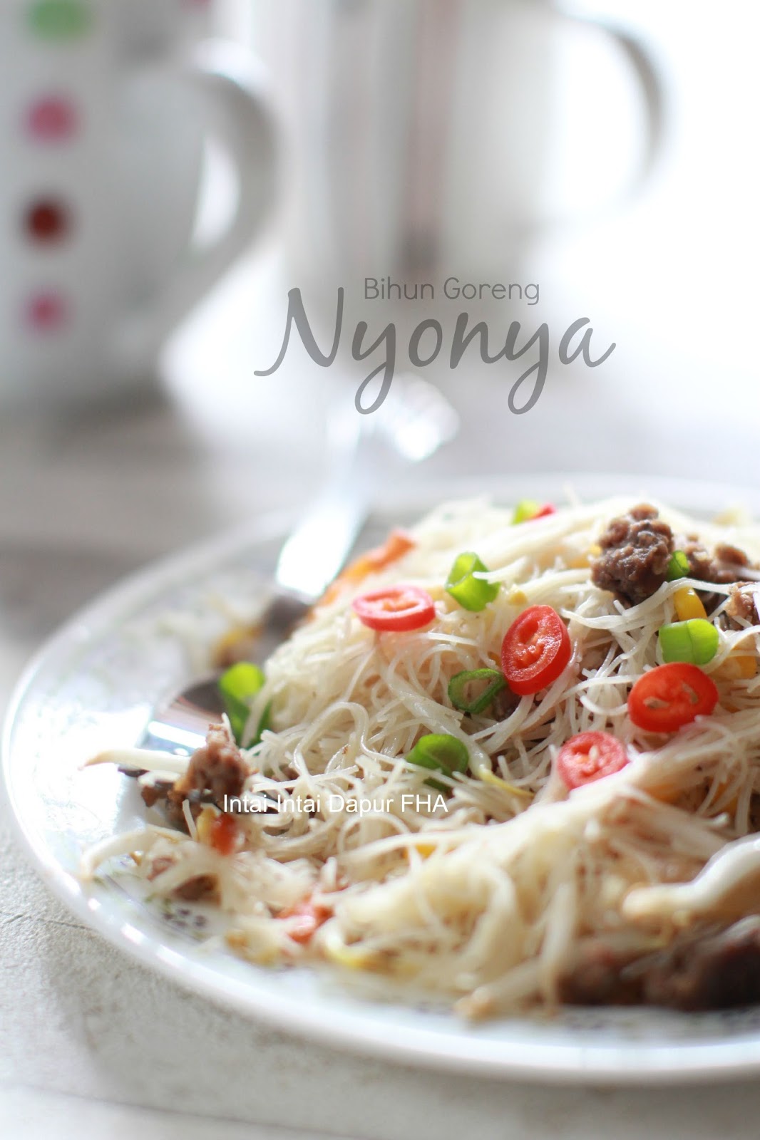   Intai-Intai Dapur FHA: BIHUN GORENG NYONYA