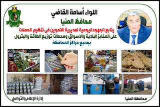 محافظ المنيا يتابع جهود الوحدات المحلية في الرقابة على الأسواق ورفع التعديات والإشغالات