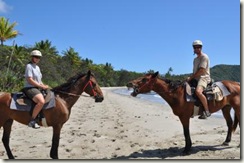 Horses