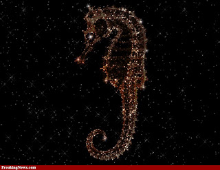 Twinkle, twinkle, little seahorse, not much rhymes with you of course