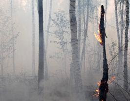 Incendios en Rusia