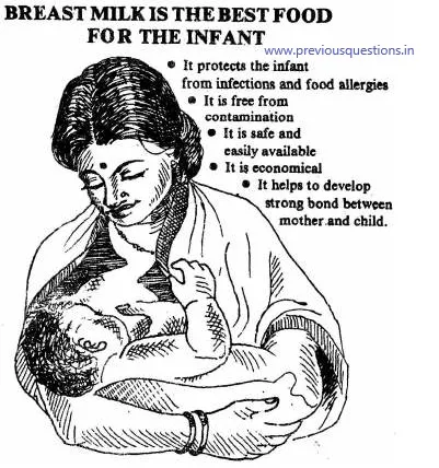 IMPORTANCE OF BREAST MILK|ICDS Supervisor Kerala Study Materials