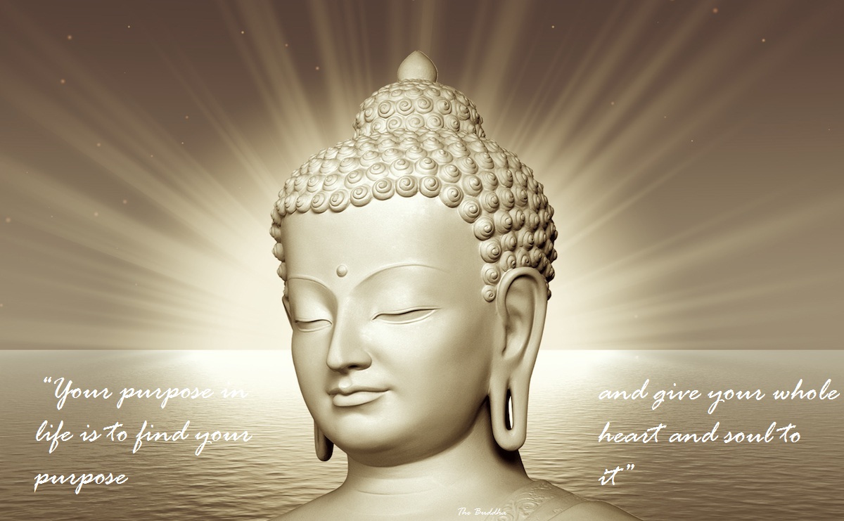 Buddha Quotes Online: According to Buddha : what should be 