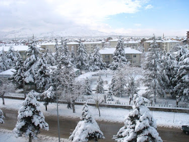 Isparta orman bölge müdürlüğü