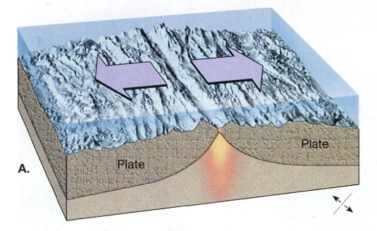 Seafloor spreading This is how the Mariana's Trench was formed 
