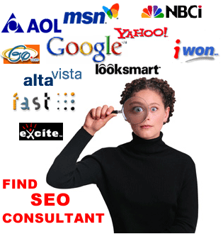 SEO Consultant