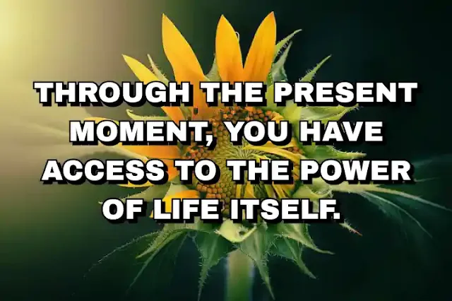 Through the present moment, you have access to the power of life itself.
