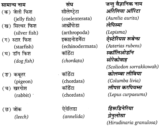 Solutions Class 11 जीव विज्ञान Chapter-4 (प्राणि जगत)