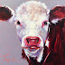 ORIGINAL CONTEMPORARY COW PAINTING in OILS by OLGA WAGNER 17/30
