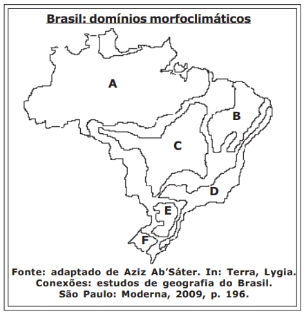 Observe o mapa a seguir, que mostra a distribuição dos domínios morfoclimáticos brasileiros, e considere as afirmativas abaixo