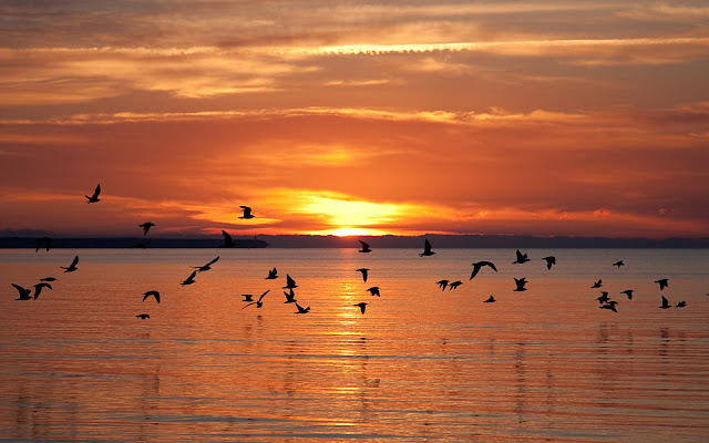 Sunset on the beach 