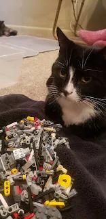Cats and lego