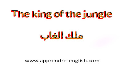 The king of the jungle    ملك الغاب