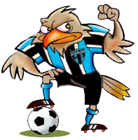 gremio coariense