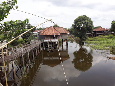 rumah adat jambi