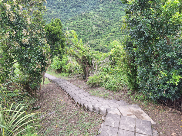 花蓮豐濱大石鼻山步道(龜庵山步道)欣賞東海岸山海和磯崎沙灘之美