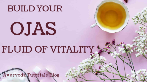 vitality ayurveda