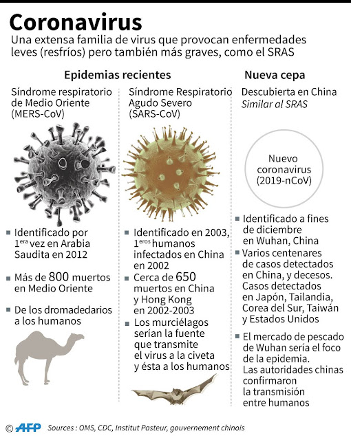 En los últimos años se han descrito tres brotes epidémicos importantes causados por coronavirus: