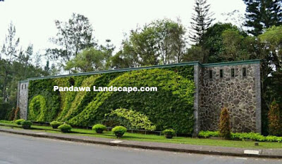 vertical garden jakarta