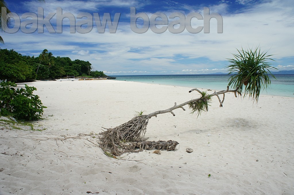 bakhaw-beach-camotes-DSC06145