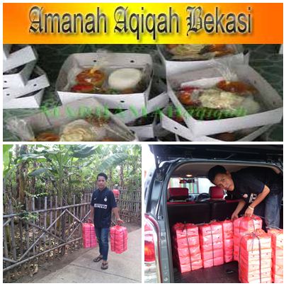 Paket_Kambing_Aqiqah_Pekayon