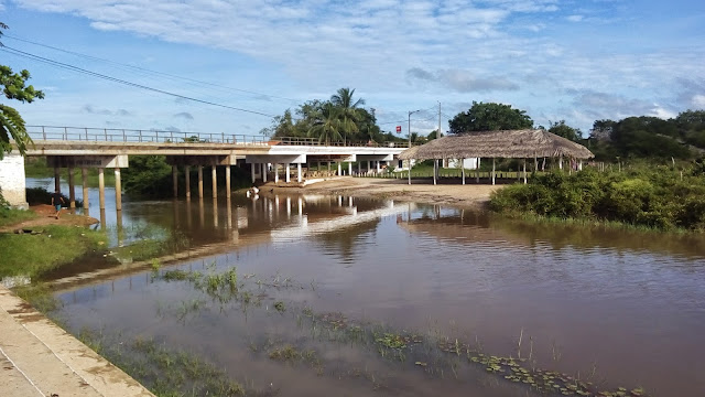 Resultado de imagem para imagens de sao bernardo-ma