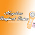 Magnitone BareFaced! Review