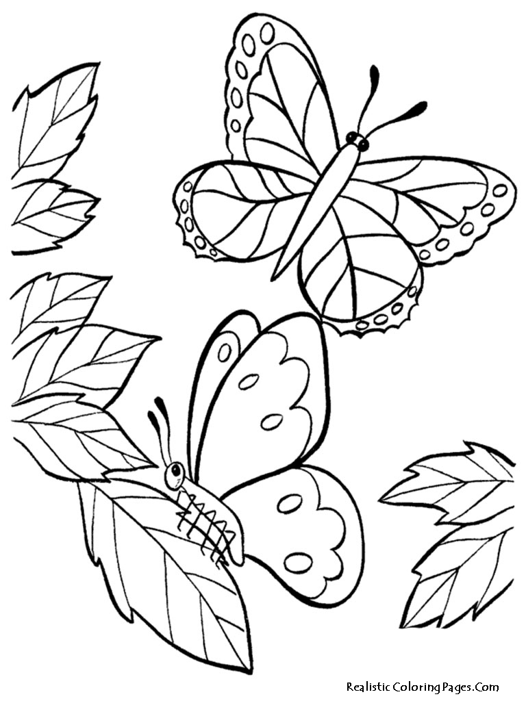Realistic Butterfly Coloring Pages