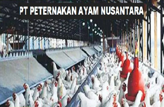 LOWONGAN KERJA PETERNAKAN AYAM NUSANTARA TAHUN 2016