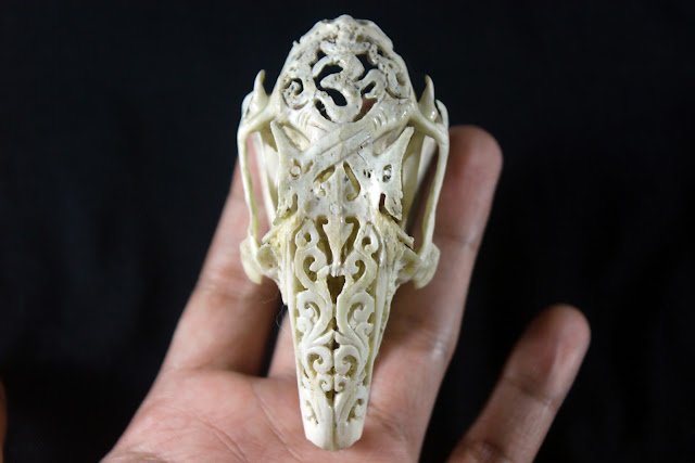 rabit skull carving atau tengkorak kelinci ukir