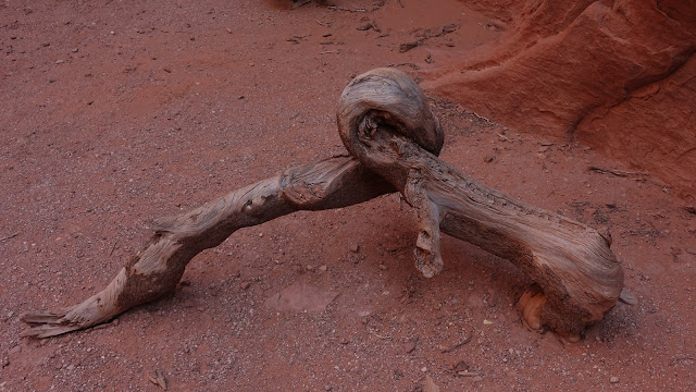 Devils garden, Arches NP