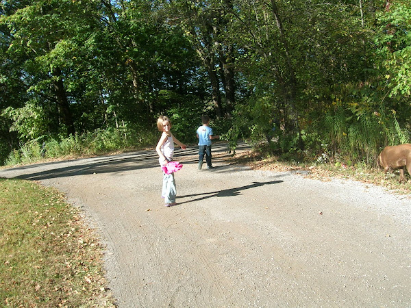 Walking to the shed to drop off all of the supplies to cut wood