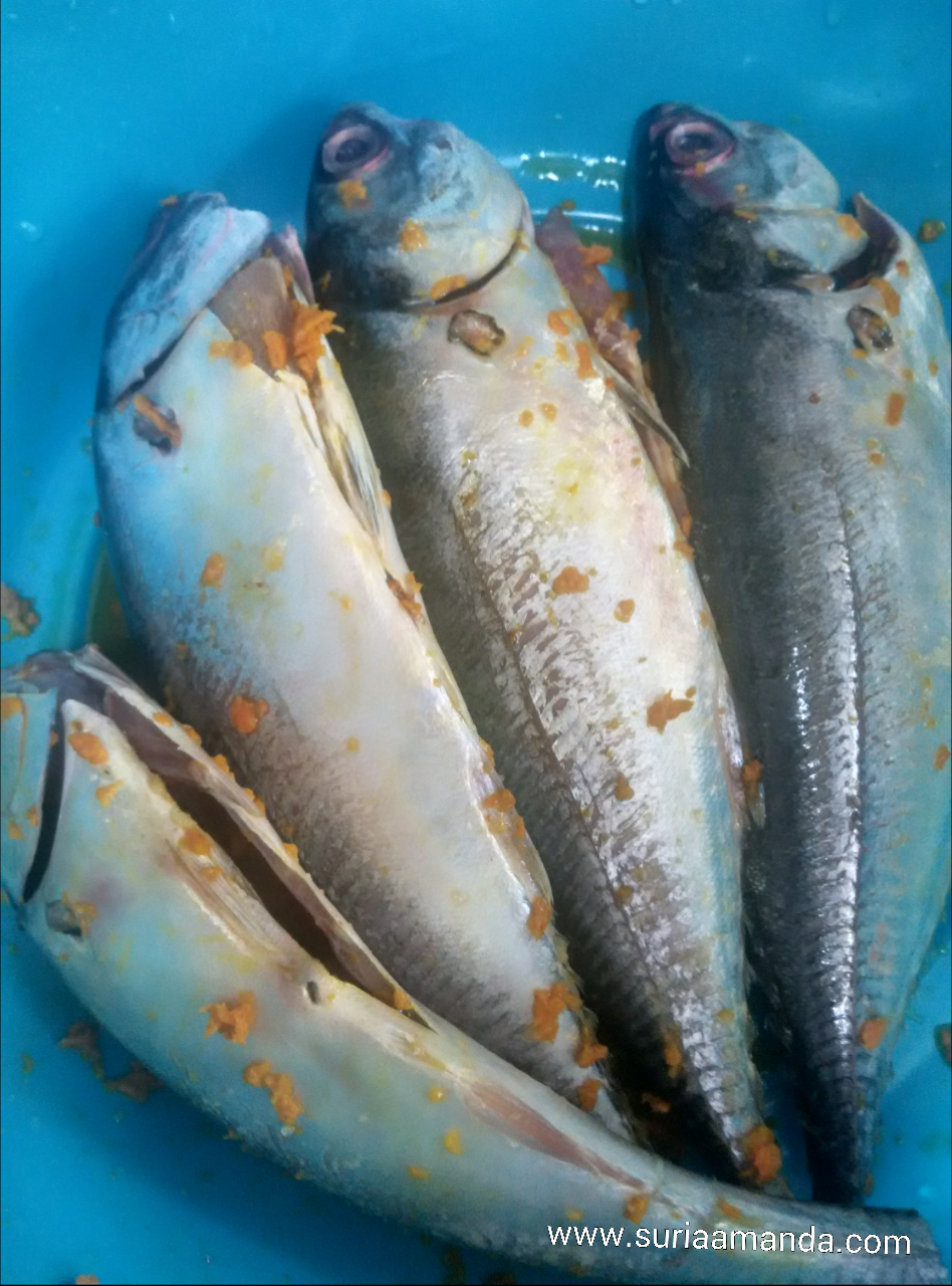 Ikan Cencaru Goreng Kunyit Resepi Bonda ~ SURIA AMANDA