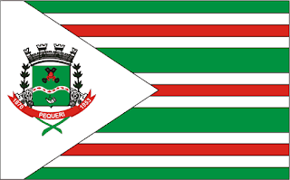 Bandeira de Pequeri MG