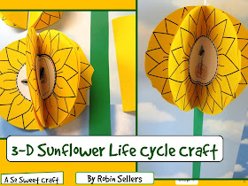 sunflower life cycle craft