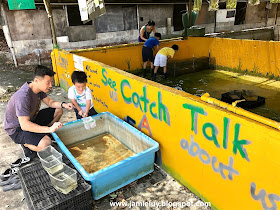 Jurong Frog Farm