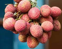 5 benifits of lychee for human body