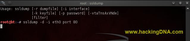 ssldump -d