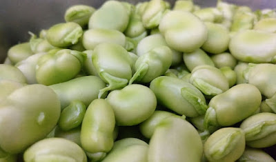 Impressive-health-benefits-of-fava-beans