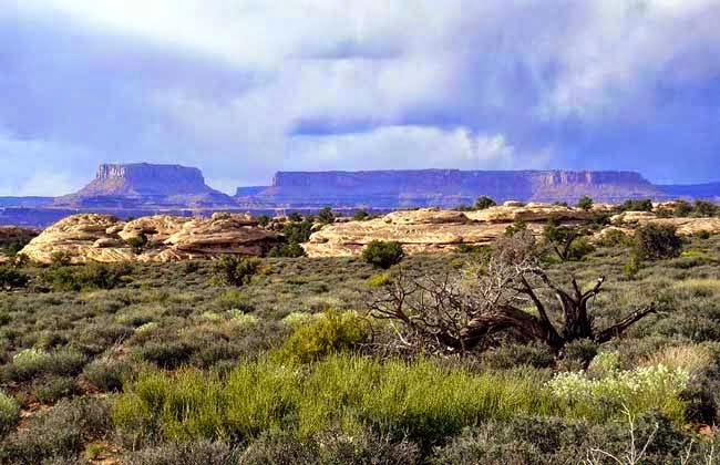 Canyonlands National Park