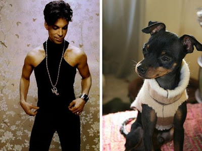 Funny - Similarity Between Celebrities And Animals