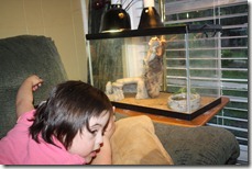 IMG_0550 IMG_0550