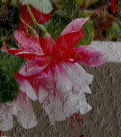 118_jpg-granite