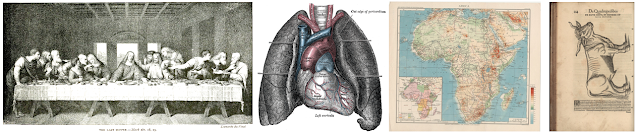 Tavole illustrative di enciclopedie dell'affresco Ultima cena di Leonardo, cartina geografica storica dell'Africa, tavola atlante Gray's anatomy, disegno di bovino