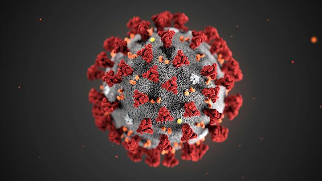 Virus corona seperti matahari