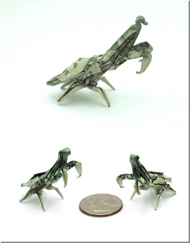 One_Dollar_Praying_Mantis_by_orudorumagi11