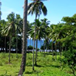 View album